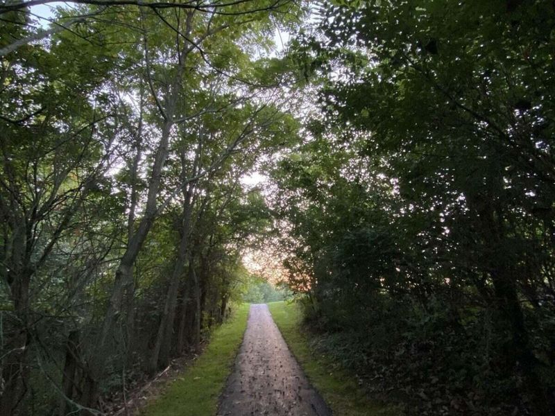 6704 Knoll View Court, Powell, OH 43065 Photo 121