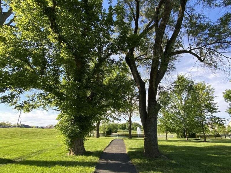 6704 Knoll View Court, Powell, OH 43065 Photo 122