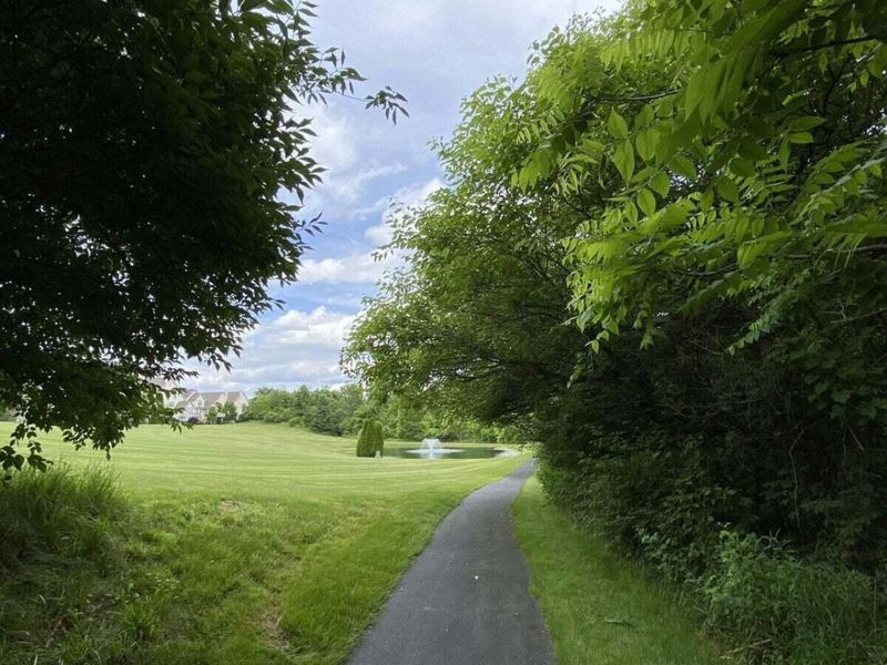 6704 Knoll View Court, Powell, OH 43065 Photo 123