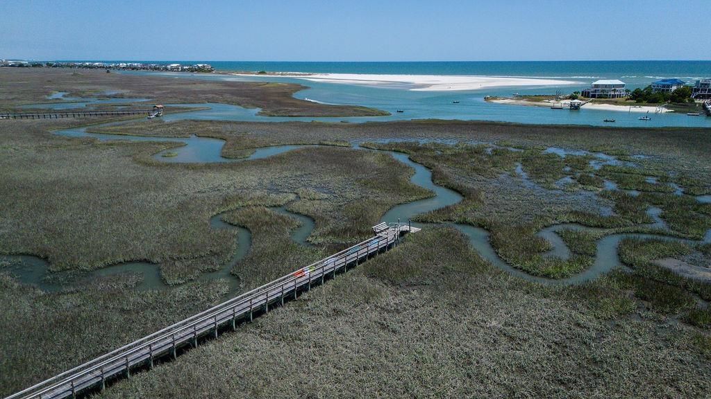 119 Berry Tree Dr.  Photo 34