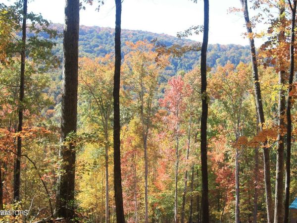 Cheyenne Drive, Jamestown, TN 38556