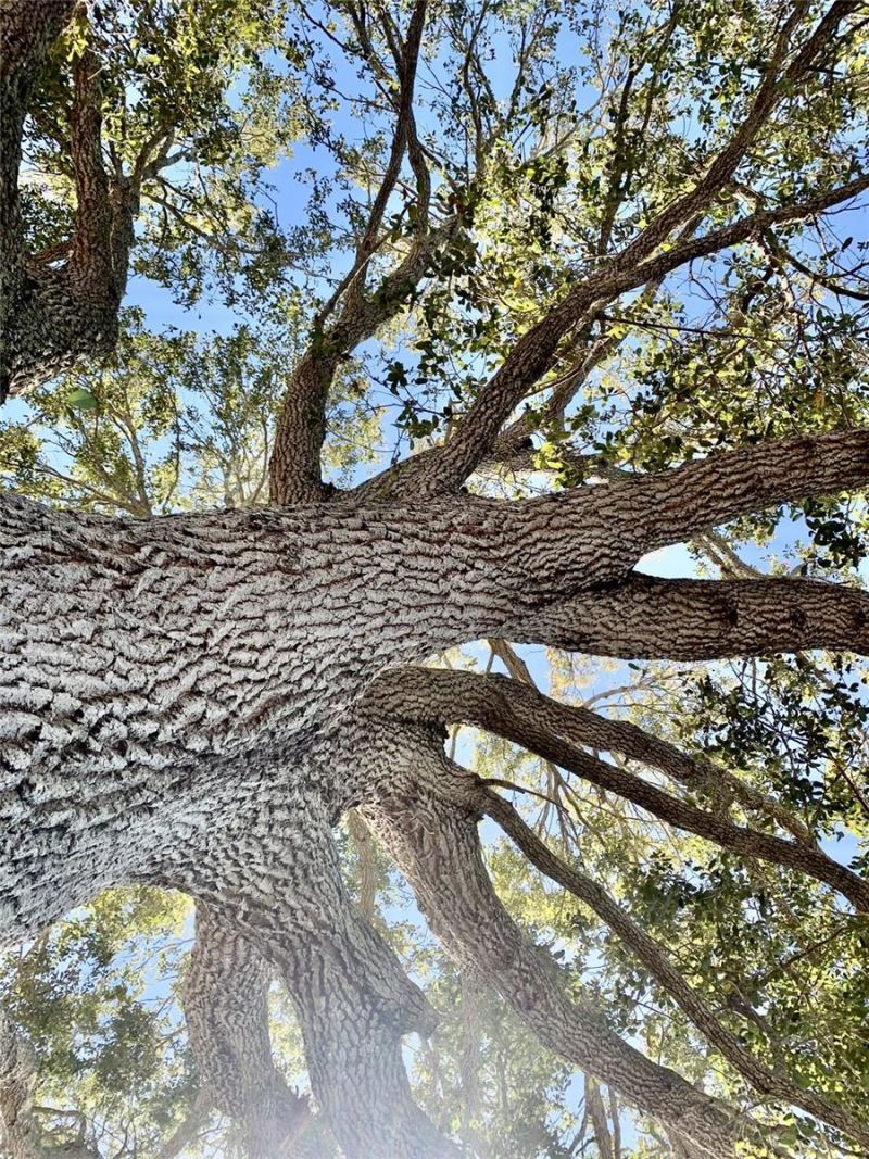 4904 27th Avenue W, Bradenton, FL 34209 Photo