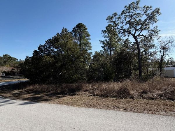 0 GYRAFALCON AVENUE, WEEKI WACHEE, FL 34613