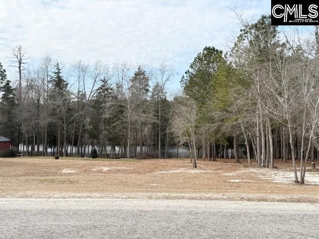 413 Blue Artesian Way  Photo 45