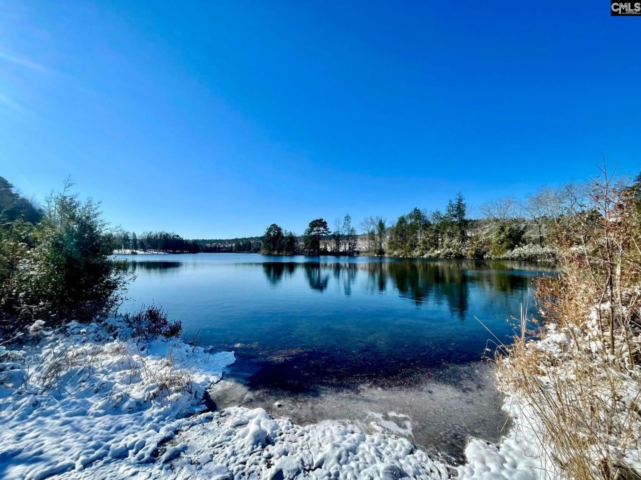 413 Blue Artesian Way  Photo 46