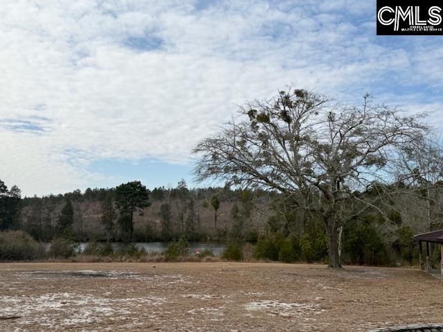 413 Blue Artesian Way Photo 48