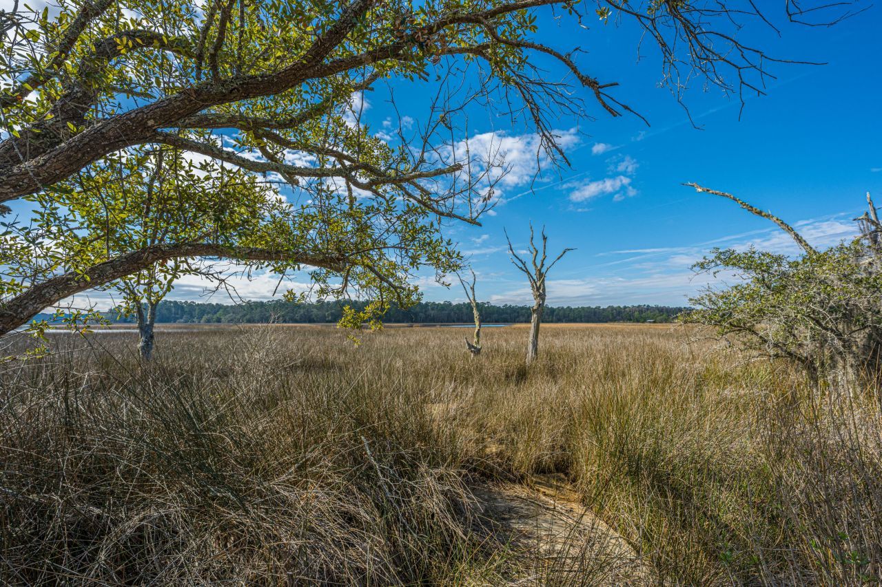 4107 Davison Road Photo 20