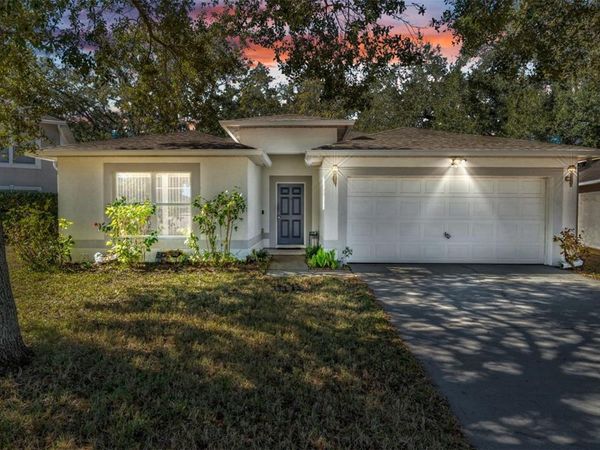30244 BIRDHOUSE DRIVE, WESLEY CHAPEL, FL 33545