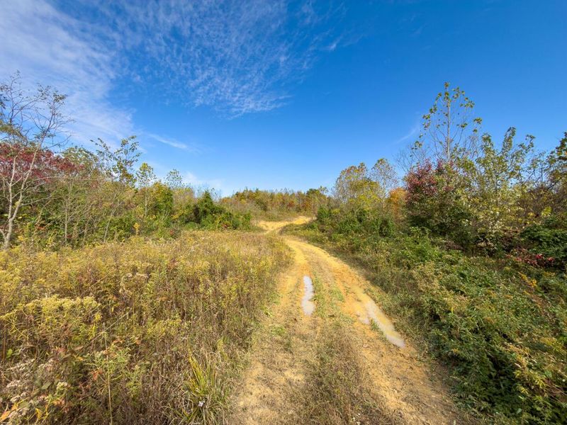 0 County Road 9 Road , Vinton, OH 45686 Photo 13