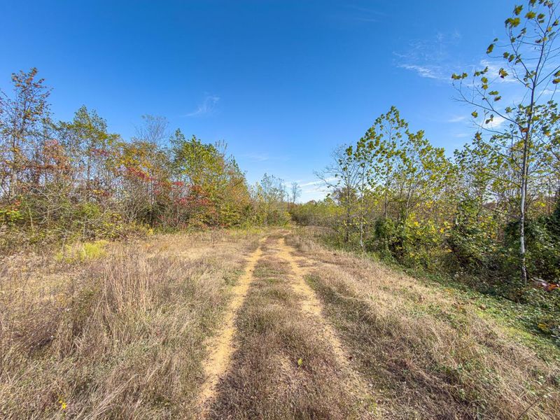 0 County Road 9 Road , Vinton, OH 45686 Photo 14