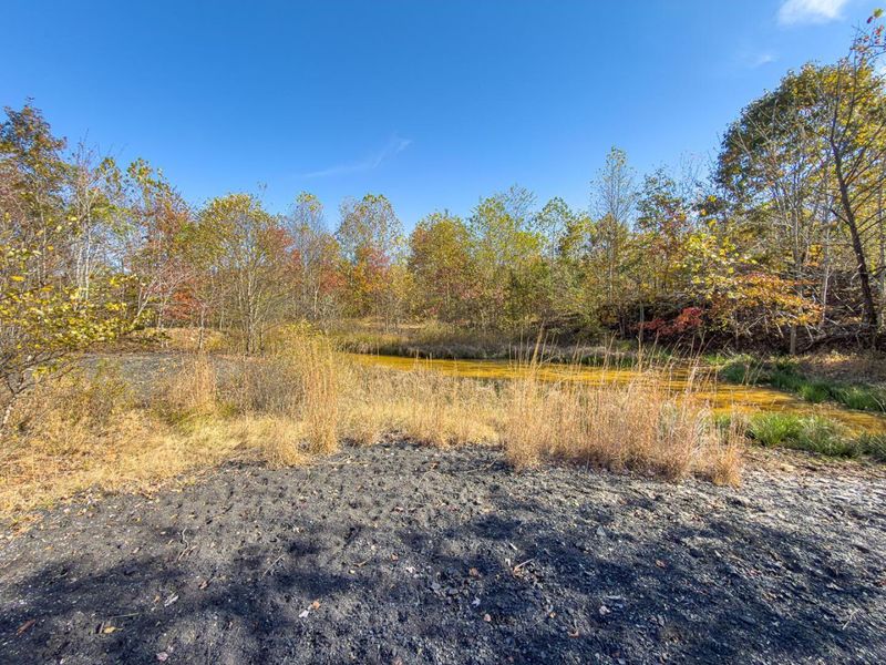 0 County Road 9 Road , Vinton, OH 45686 Photo 15