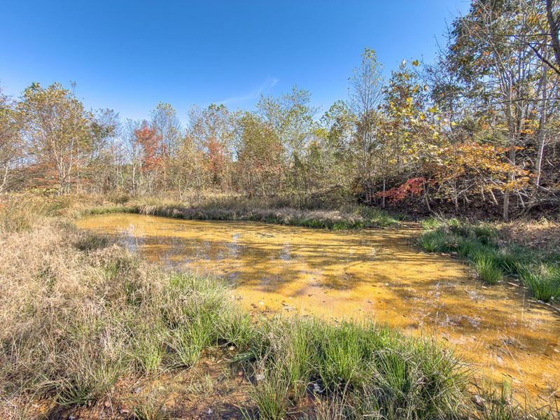 0 County Road 9 Road , Vinton, OH 45686 Photo 16