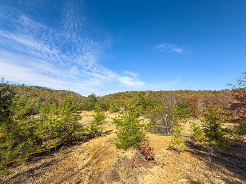 0 County Road 9 Road , Vinton, OH 45686 Photo 18