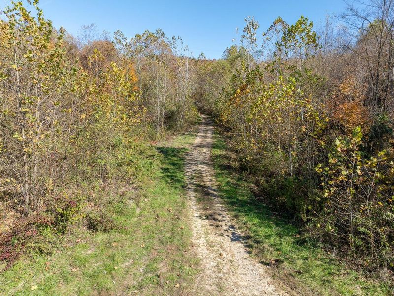 0 County Road 9 Road , Vinton, OH 45686 Photo 7