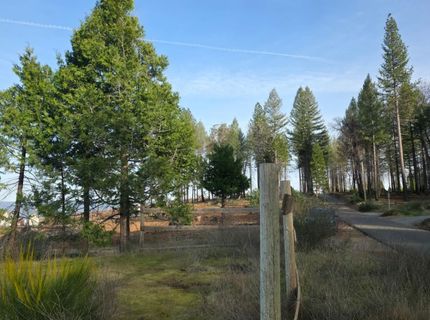 4275 Volcanoville Rd, Georgetown, CA 95634 Photo