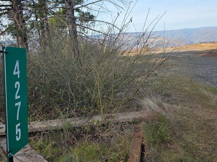 4275 Volcanoville Rd, Georgetown, CA 95634 Photo