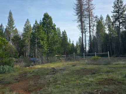 4275 Volcanoville Rd, Georgetown, CA 95634 Photo