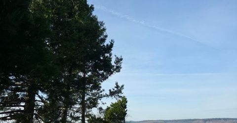 4275 Volcanoville Rd, Georgetown, CA 95634 Photo