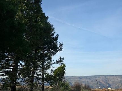 4275 Volcanoville Rd, Georgetown, CA 95634 Photo