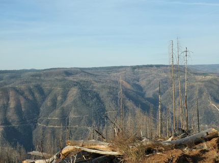 4275 Volcanoville Rd, Georgetown, CA 95634 Photo