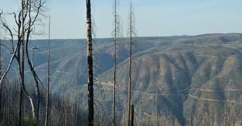 4275 Volcanoville Rd, Georgetown, CA 95634 Photo