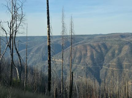 4275 Volcanoville Rd, Georgetown, CA 95634 Photo