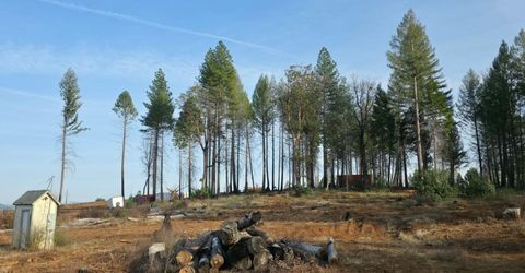 4275 Volcanoville Rd, Georgetown, CA 95634 Photo