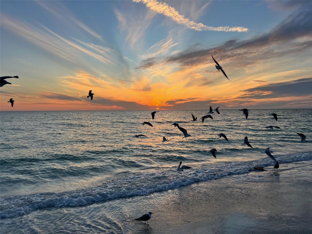 800 S Blvd Of The Presidents, Unit 9, Sarasota, FL 34236 Photo