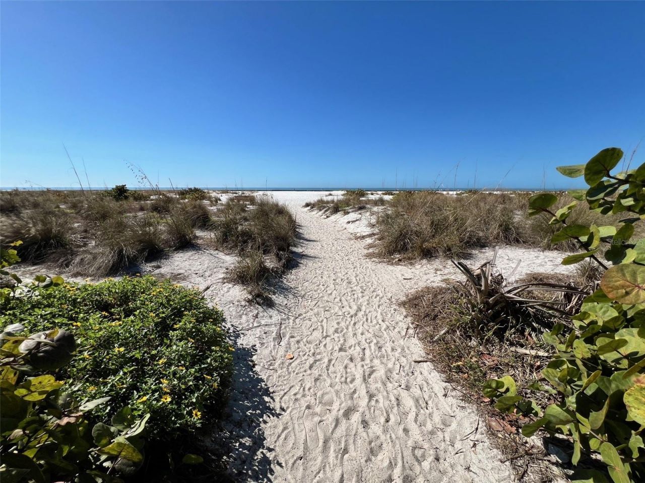 800 S Blvd Of The Presidents, Unit 9, Sarasota, FL 34236 Photo