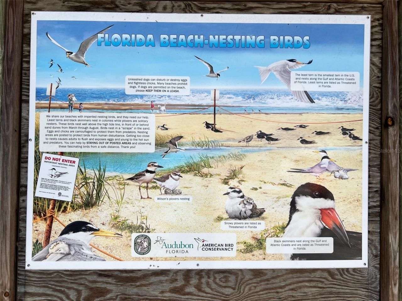 800 S Blvd Of The Presidents, Unit 9, Sarasota, FL 34236 Photo