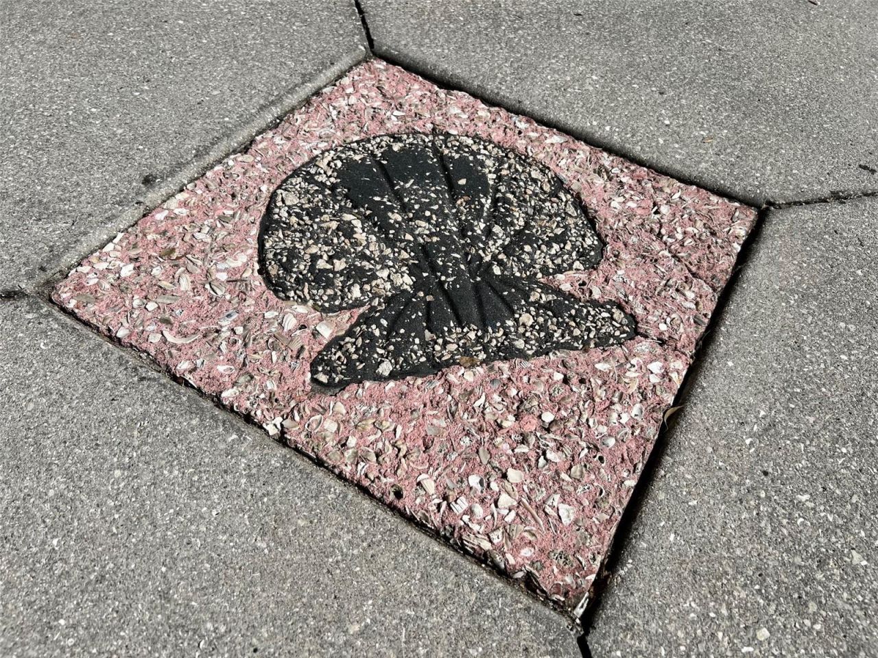 800 S Blvd Of The Presidents, Unit 9, Sarasota, FL 34236 Photo