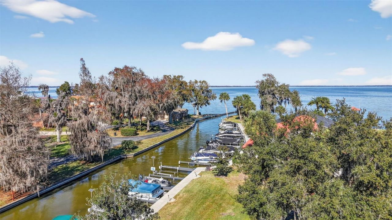 301 Clusterwood Drive, Yalaha, FL 34797 Photo