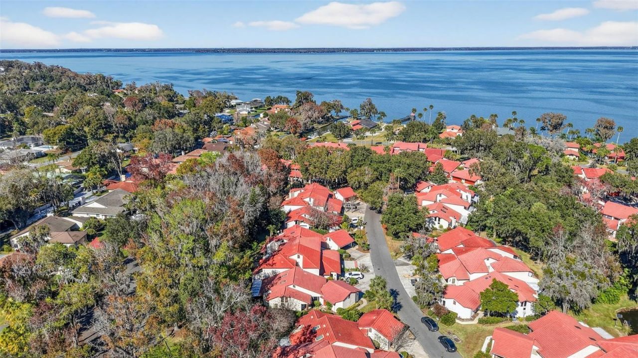 301 Clusterwood Drive, Yalaha, FL 34797 Photo