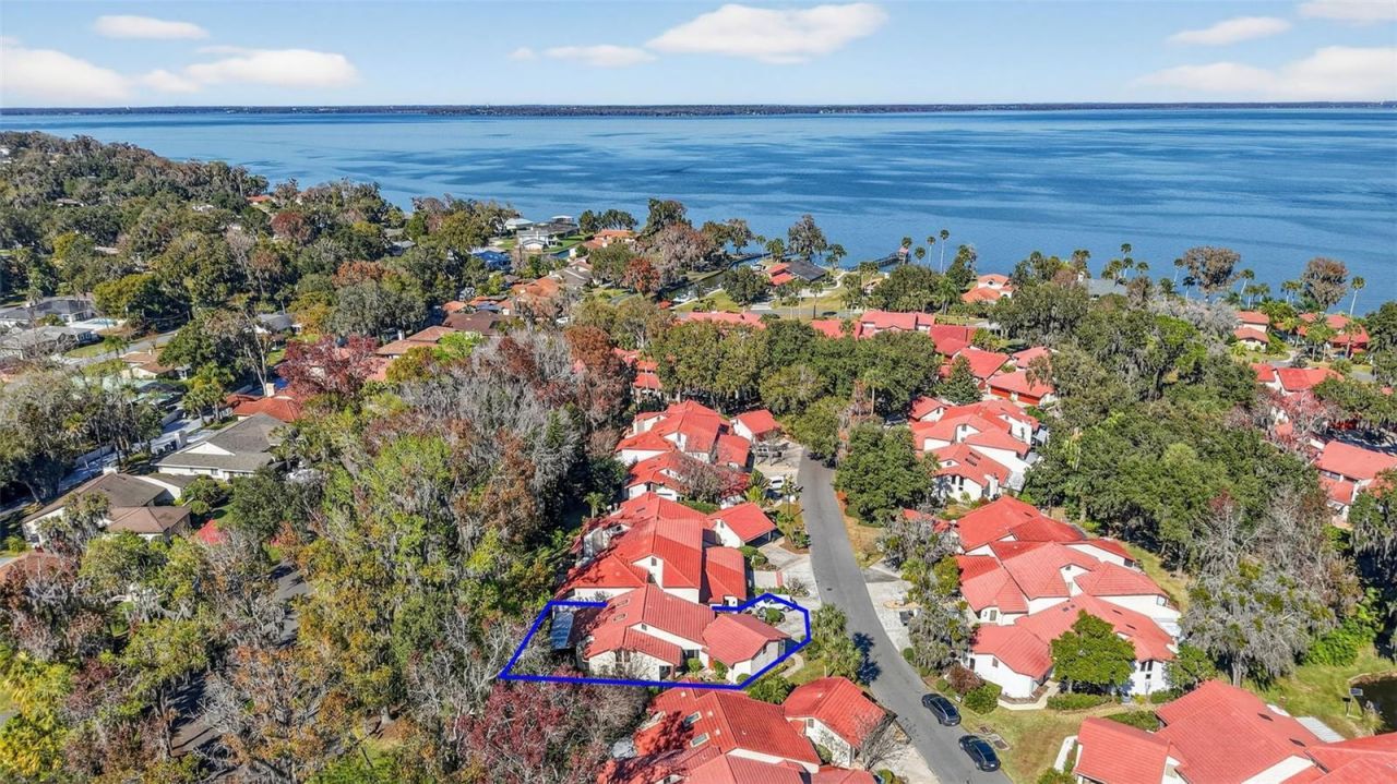 301 Clusterwood Drive, Yalaha, FL 34797 Photo