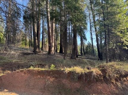 5026 Old Mine Rd, Grizzly Flats, CA 95636 Photo