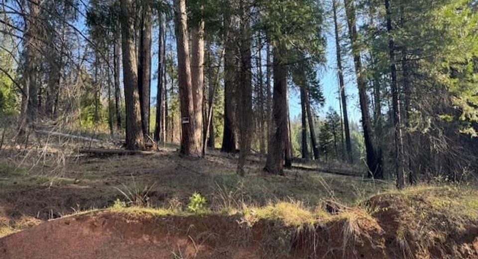 5026 Old Mine Rd, Grizzly Flats, CA 95636 Photo