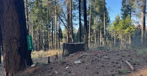 5026 Old Mine Rd, Grizzly Flats, CA 95636 Photo