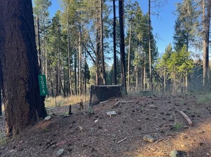 5026 Old Mine Rd, Grizzly Flats, CA 95636 Photo