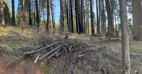 5026 Old Mine Rd, Grizzly Flats, CA 95636 Photo