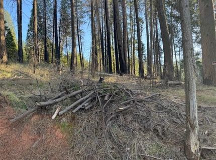 5026 Old Mine Rd, Grizzly Flats, CA 95636 Photo