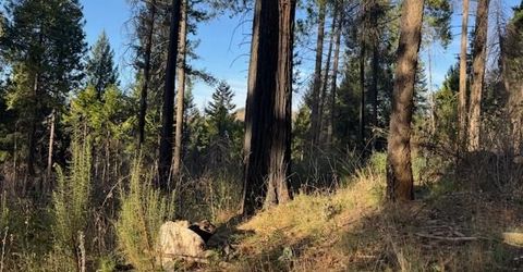 5026 Old Mine Rd, Grizzly Flats, CA 95636 Photo