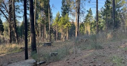 5026 Old Mine Rd, Grizzly Flats, CA 95636 Photo