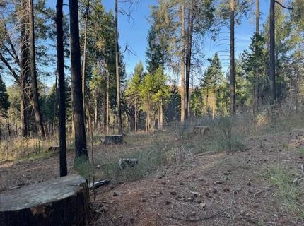 5026 Old Mine Rd, Grizzly Flats, CA 95636 Photo