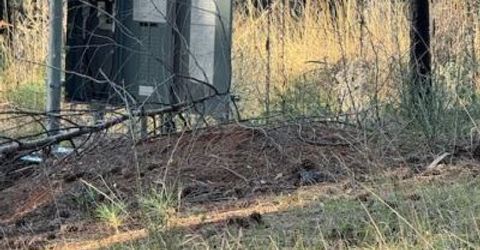 5026 Old Mine Rd, Grizzly Flats, CA 95636 Photo