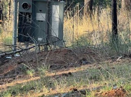 5026 Old Mine Rd, Grizzly Flats, CA 95636 Photo