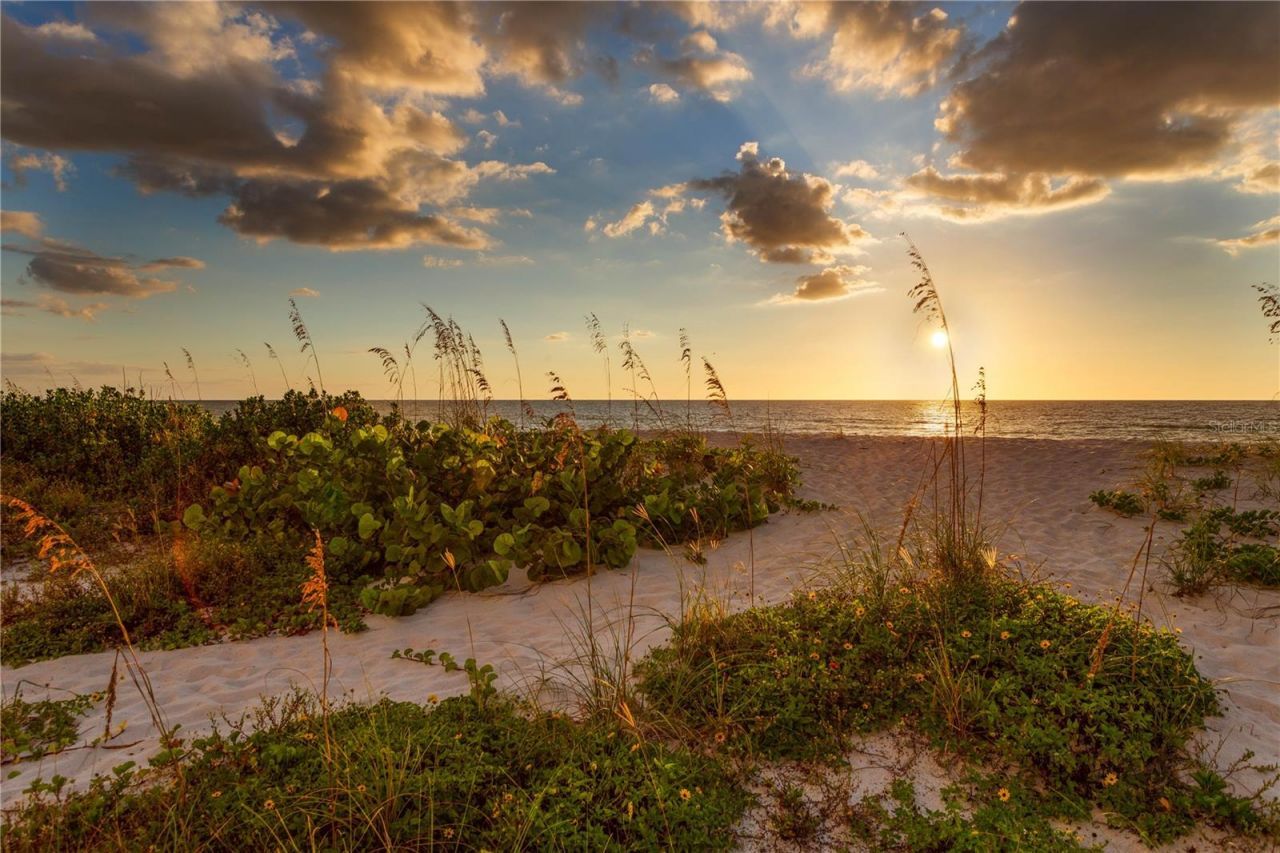 6701 Burlington Avenue N, Saint Petersburg, FL 33710 Photo