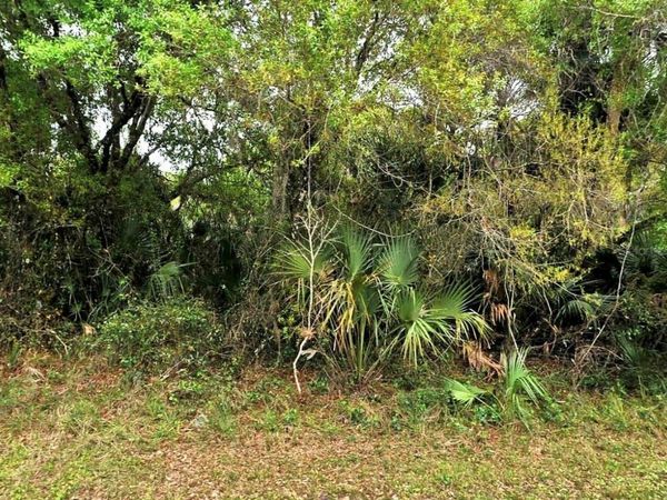 BACKERT RD., NORTH PORT, FL 34291