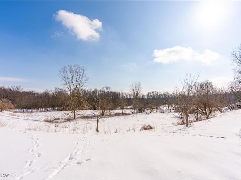 4200 NW Tannybrooke Lane NW, Unit B, Canton, OH 44718 Photo 2