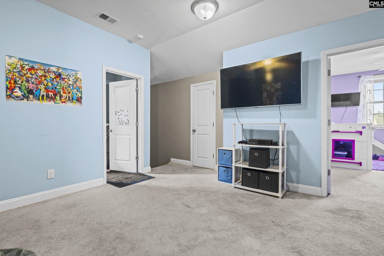 521 Fourteen Mile Lane Photo 23