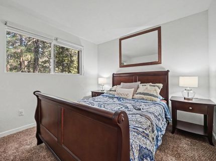 16970 Alpine Dr, Pioneer, CA 95666 Photo